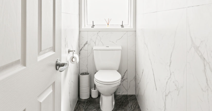 Best Toilet Replacement Near Me in Green Hills, TN